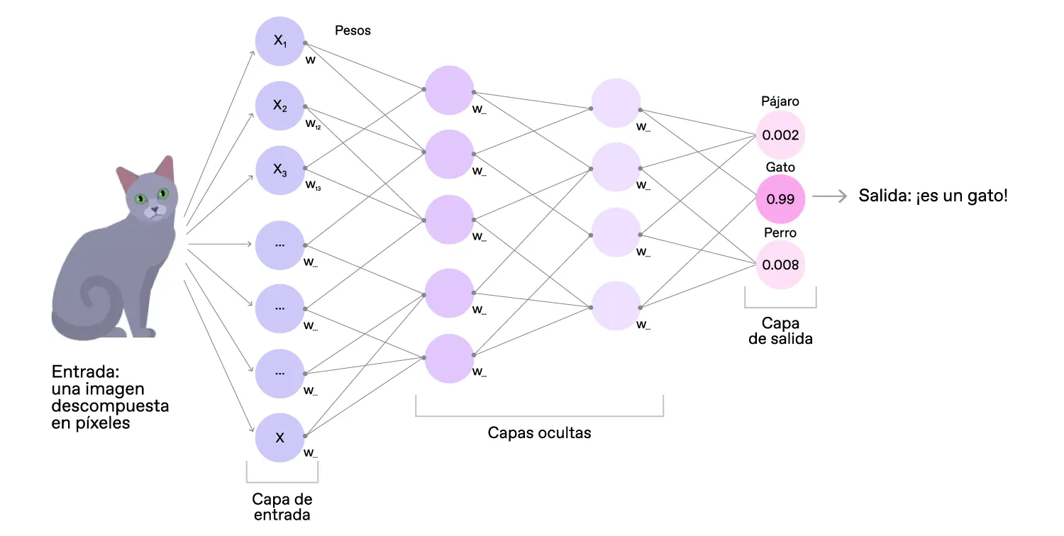 modelo de clasificación de redes neuronales